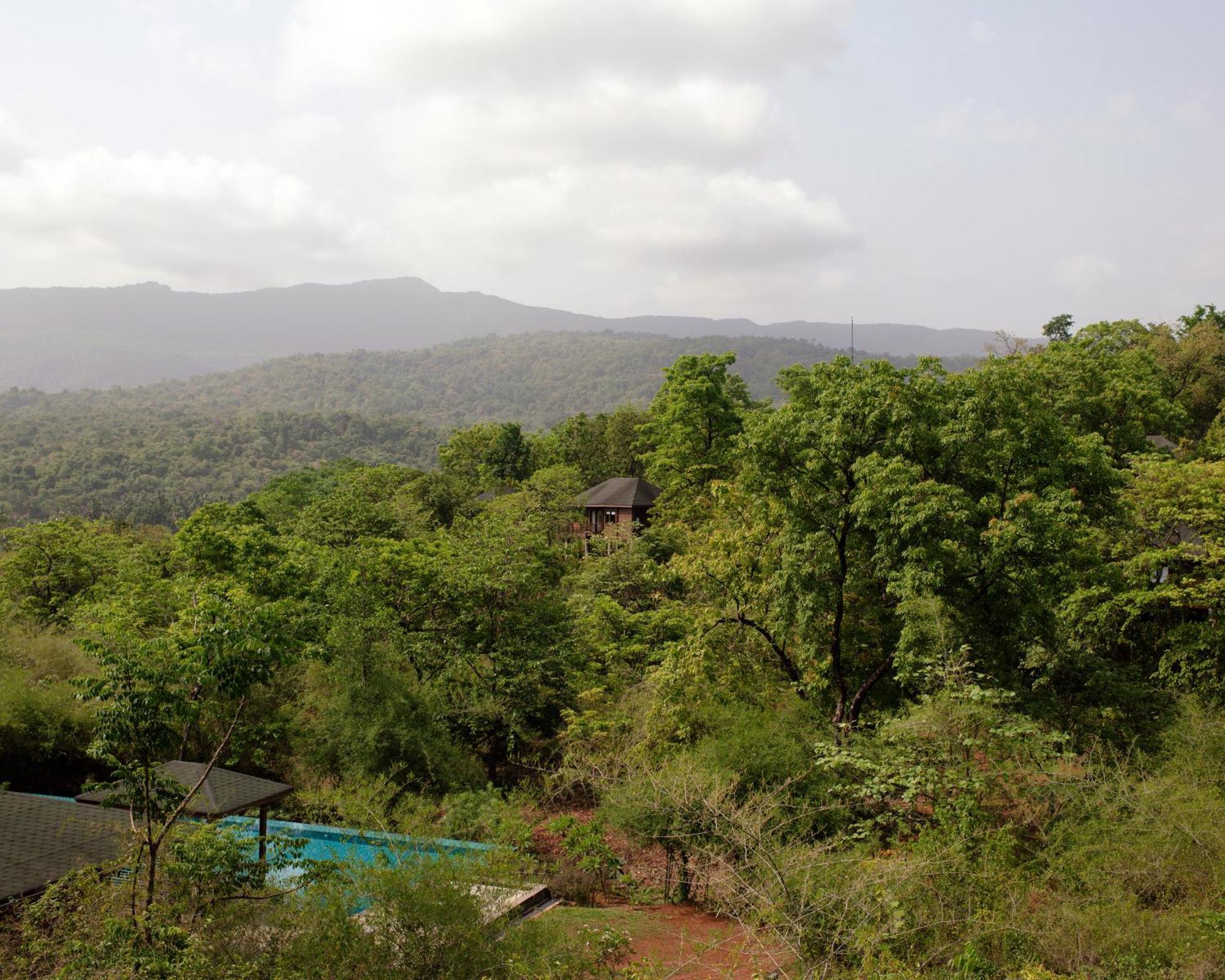 Hotel The Postcard Hideaway, Netravali Wildlife Sanctuary, Goa Vichondrem Exteriér fotografie